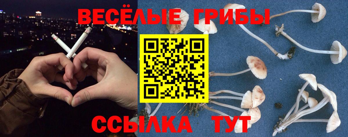 Галлюциногенные грибы Cubensis  Галлюциногенные грибы Magic Shrooms  Сегежа  Вход с VPN 