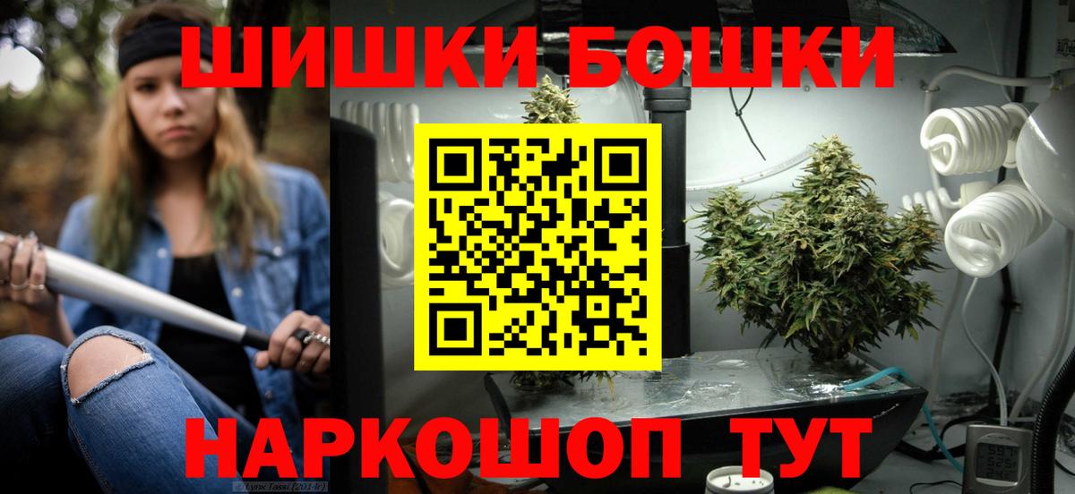 Бошки Шишки конопля  Бошки Шишки OG Kush  Бошки Шишки планчик  МАРИХУАНА конопля  Сегежа  Вход с VPN 